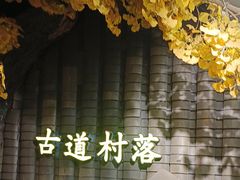 -古道村落(温汤店)