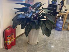 -菩济本草工作室