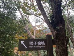 -龙湾潭国家森林公园