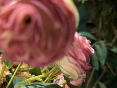 -第101座花园餐厅(湖滨88店)