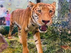 -国家自然博物馆