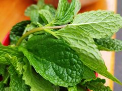 -攀枝花·任德琼·盐边羊肉米线