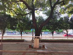 -分子跳动鲜活面包(五一大道店)