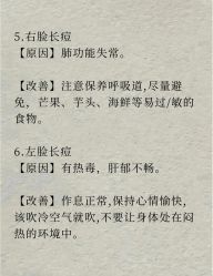 -Fundi张玉珊修身堂·indiba·BTL科技瘦身