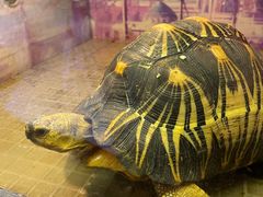 -上海大自然野生昆虫馆