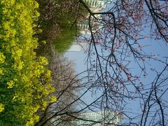 android_upload_pic-西北湖绿化广场