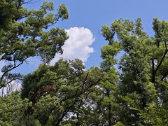 -东湖磨山景区