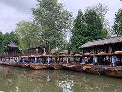 -溱湖国家湿地公园