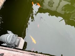 -豫园