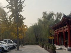 -元大都城垣遗址公园