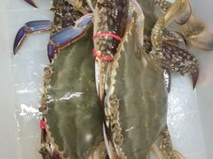 -渔民船说·北塘海鲜·天津菜·海肠捞饭(北塘古镇店)