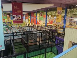 -猩积木儿童体智开发中心(未央店)