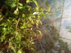 android_upload_pic-上海大自然野生昆虫馆