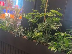 -眉州东坡(北苑华贸店)