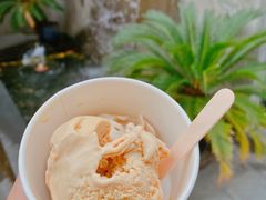 -花马天堂云南餐厅 Lost Heaven(外滩店)