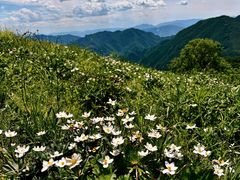 -灵山