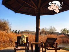 -青岛海泉湾度假区温泉