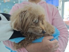 -纳吉亚猫专科动物诊疗中心(蒋宅口分院)