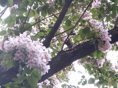 -漕溪路(地铁站)