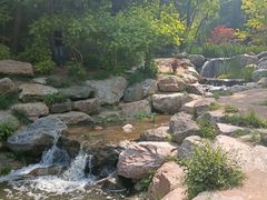-大连植物园