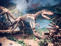 -自贡恐龙博物馆