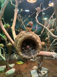 -Zoolung Zoolung动物主题公园(海信广场店)