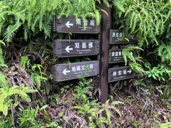 -大慈岩风景区