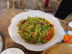 仙人掌-晓雯人家