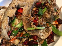 -印象鲵宴·张家界地标美食名片(溪布街店)