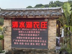 -清水湖度假村(罗浮山美食地标店)