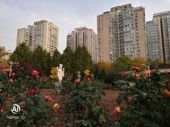 -丰台花园
