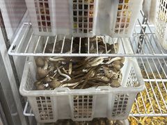 -双喜农庄·菌香园(安居家园店)