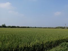 -嘉北郊野公园