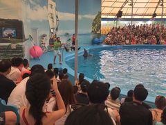 -尼莫海豚馆
