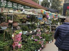 -昆明东站农贸市场