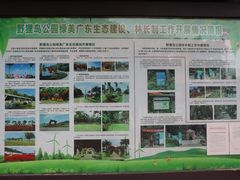 -野狸岛