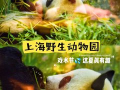-上海野生动物园