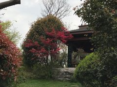 -桃花岛景观公园