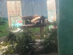 -临沂动植物园