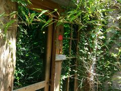 -馬蘭花開(车站大道店)