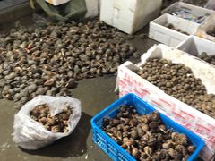 -无锡天鹏食品城