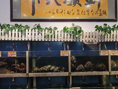 -鑫悦楼煎蟹·16年海鲜大排档