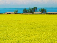 -青海湖国家重点风景名胜区