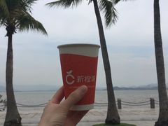-深圳湾公园(南山区)