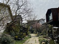 -巢湖姥山岛