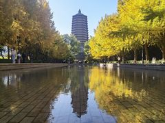 -玲珑塔公园