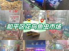 -宝鸡东道花鸟鱼虫市场(吉利花园商场店)