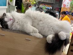 -小时光咖啡馆(北锣鼓巷店)
