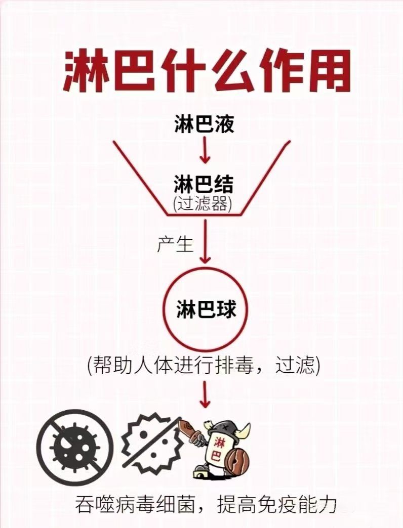 天安云谷隐藏的淋巴排毒