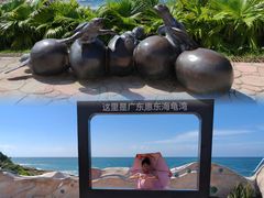 -广东惠东海龟国家级自然保护区
